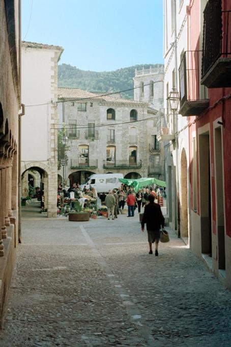 Apartamentos Saltarel-Lo Besalú Zewnętrze zdjęcie